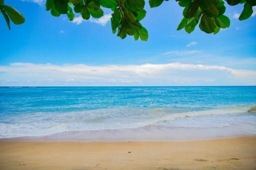 Sii Luxury 1 Bedroom Close To The Beach 웨스트 팜 비치 외부 사진
